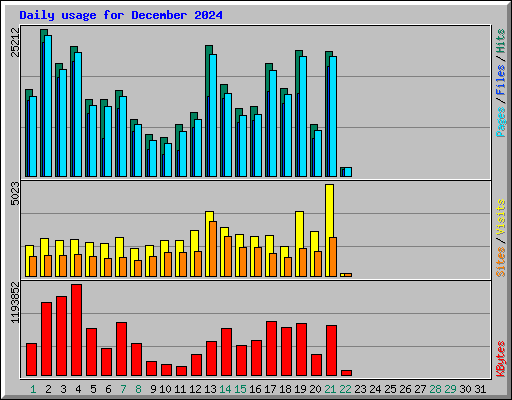 Daily usage for December 2024