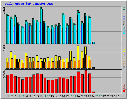 Daily usage for January 2025