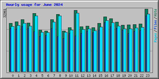 Hourly usage for June 2024