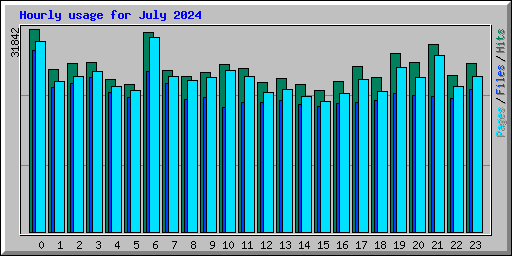 Hourly usage for July 2024