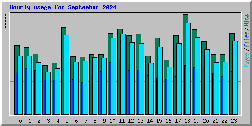 Hourly usage for September 2024