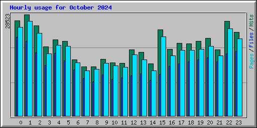 Hourly usage for October 2024