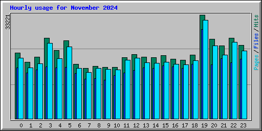 Hourly usage for November 2024