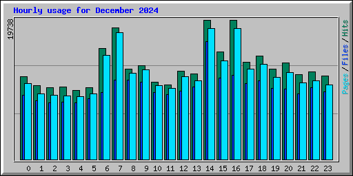 Hourly usage for December 2024