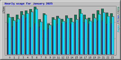 Hourly usage for January 2025