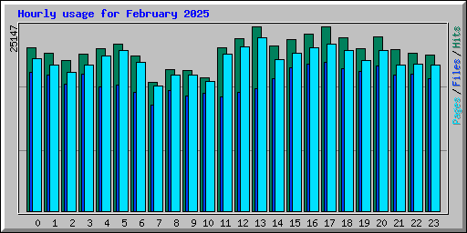 Hourly usage for February 2025