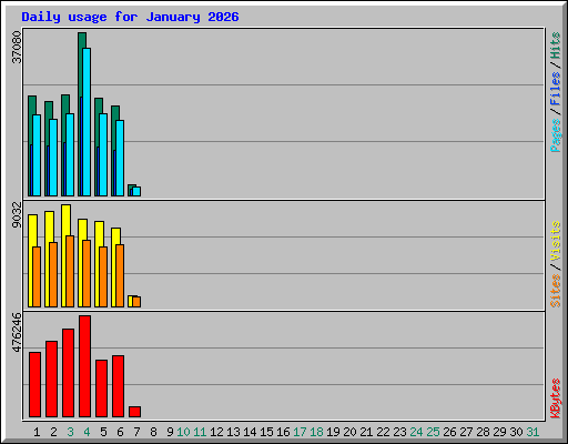 Daily usage for January 2026