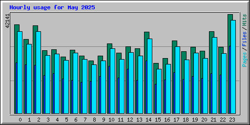 Hourly usage for May 2025