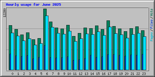 Hourly usage for June 2025