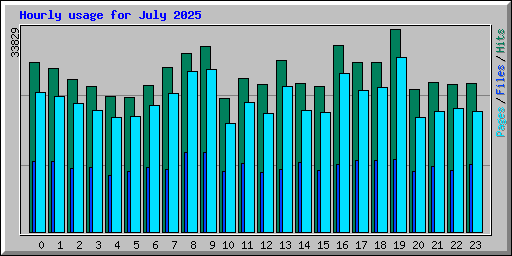 Hourly usage for July 2025
