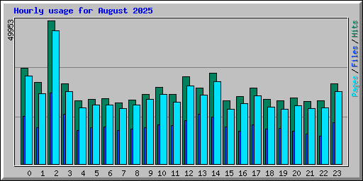 Hourly usage for August 2025