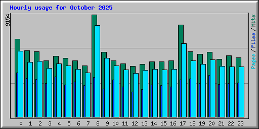 Hourly usage for October 2025