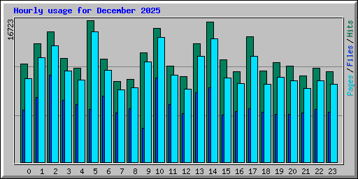 Hourly usage for December 2025