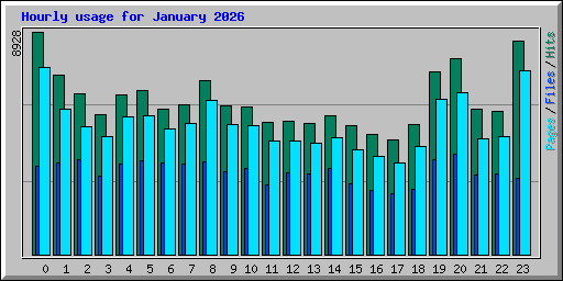 Hourly usage for January 2026