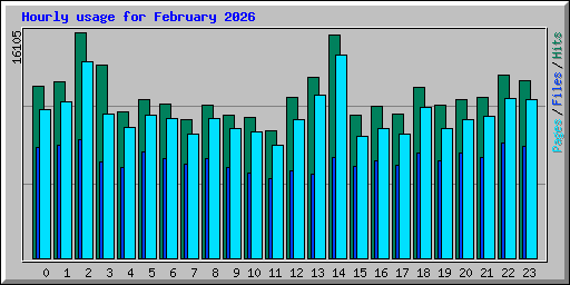 Hourly usage for February 2026