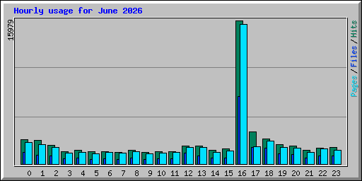 Hourly usage for June 2026