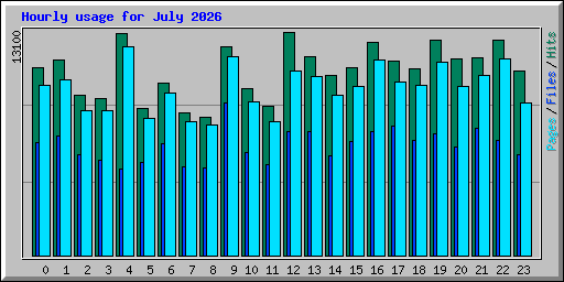 Hourly usage for July 2026