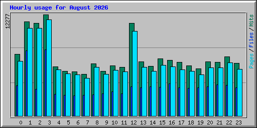 Hourly usage for August 2026